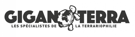 logo giganterra